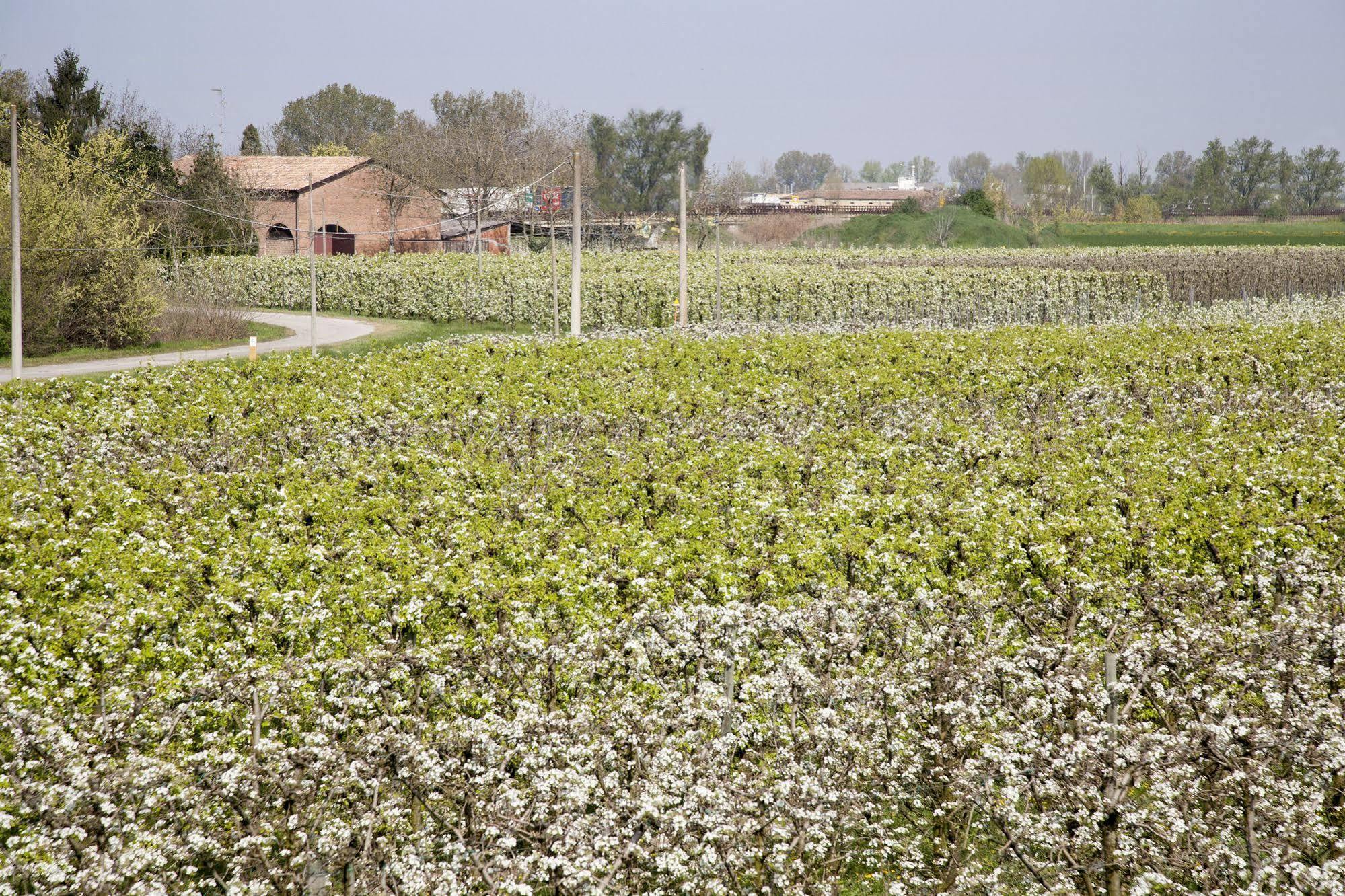 Agriturismo Dosso Al Porto Vila Rolo Exterior foto